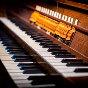 Wedding organ