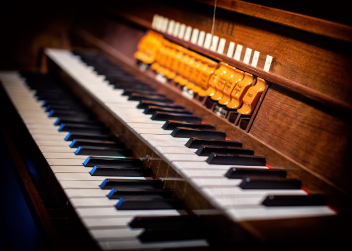 Wedding organ