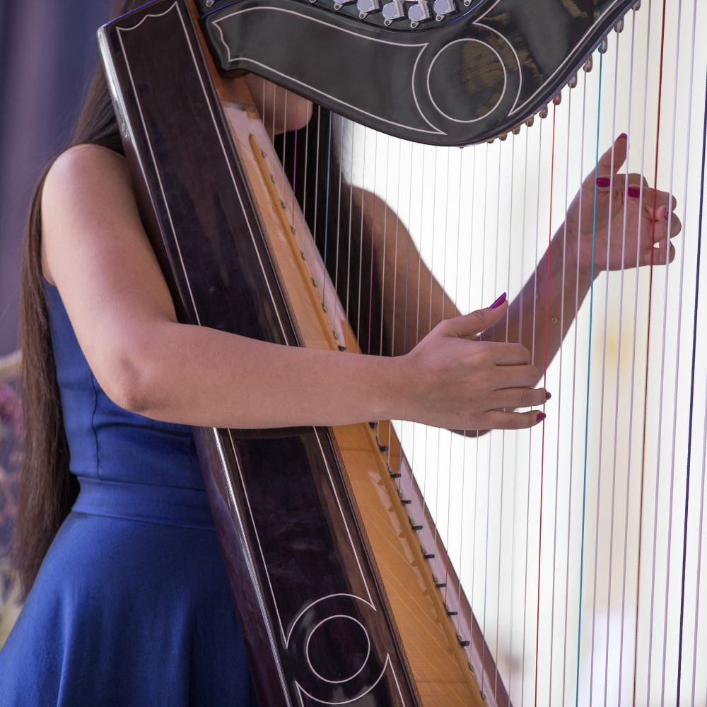 Wedding Symphony Celtic harp